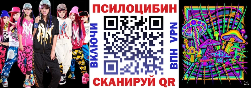 Псилоцибиновые грибы Psilocybine cubensis  Дмитров 