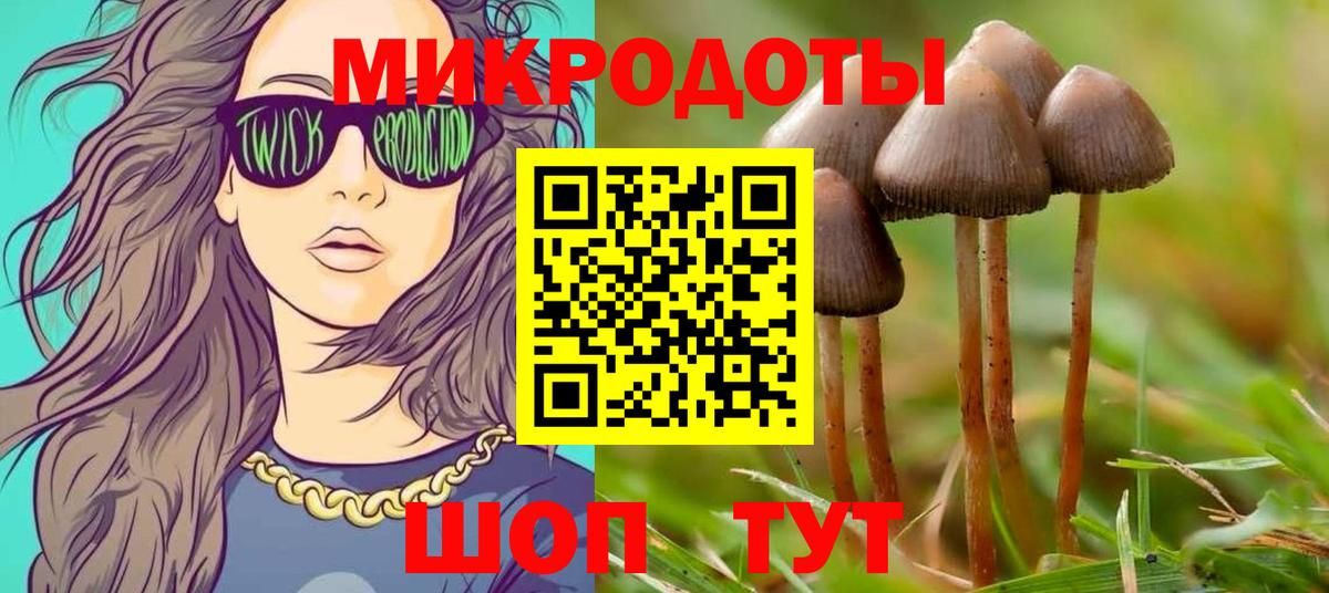 Галлюциногенные грибы мицелий  Вход с VPN  Галлюциногенные грибы прущие грибы  где купить наркоту  Дмитров 